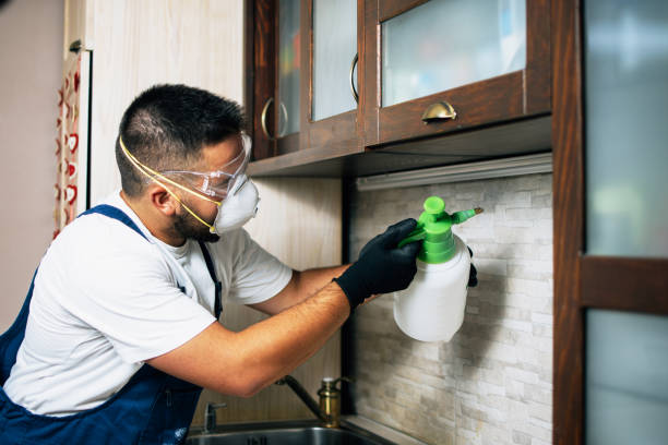 Best Termite Control Services  in Gretna, LA