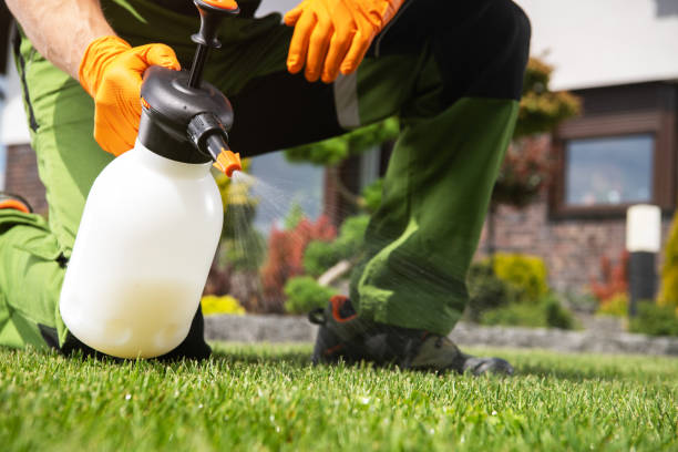 Best Bird Control  in Gretna, LA