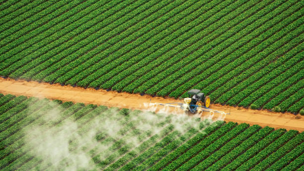 Best Best Pest Control Companies  in Gretna, LA