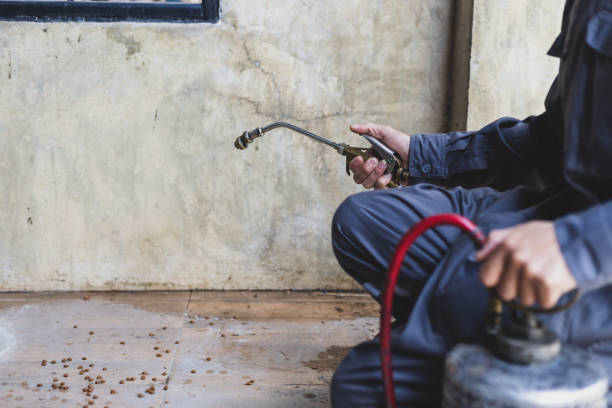 Best Flea Control Services  in Gretna, LA